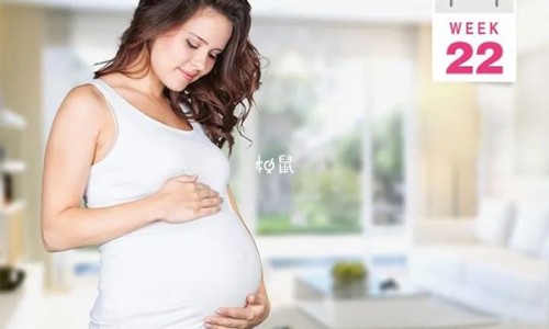 dha孕妇专用哪个牌子好-dha孕妇吃有效果吗网 - dha孕妇什么时候吃最好,孕妇dha吃鱼油的好还是藻油的好
